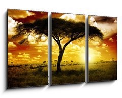 Obraz 3D tdln - 90 x 50 cm F_BS12197040 - Africa Sunset - Afrika Zpad slunce