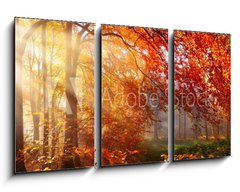 Obraz 3D tdln - 90 x 50 cm F_BS122248477 - Herbst im Wald, mit Lichtstrahlen im Nebel und rotem Laub