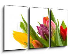 Obraz 3D tdln - 90 x 50 cm F_BS12262368 - colored flowers