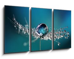 Obraz 3D tdln - 90 x 50 cm F_BS124005669 - Beautiful dew drops on a dandelion seed macro. Beautiful soft light blue and violet background. Water drops on a parachutes dandelion on a beautiful blue. Soft dreamy tender artistic image form.