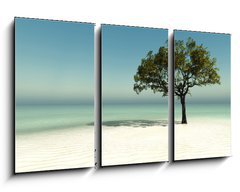 Obraz 3D tdln - 90 x 50 cm F_BS126560090 - tree on the beach