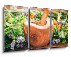 Obraz 3D tdln - 90 x 50 cm F_BS128185706 - Variety of herbs and mortar on wooden background, banner