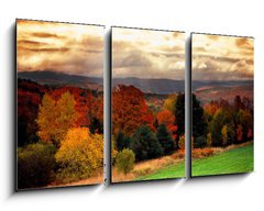 Obraz 3D tdln - 90 x 50 cm F_BS1290922 - vermont fall faliage