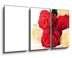 Obraz   Rose., 90 x 50 cm