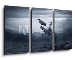 Obraz   Crow sitting on a branch, 90 x 50 cm