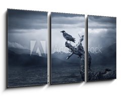 Obraz 3D tdln - 90 x 50 cm F_BS132023019 - Crow sitting on a branch - Vrna sed na vtvi