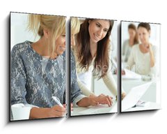 Obraz 3D tdln - 90 x 50 cm F_BS132241834 - women working together in office - eny pracujc spolen v kanceli