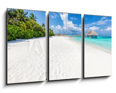 Obraz 3D tdln - 90 x 50 cm F_BS132600844 - Wide sandy beach on a tropical island in Maldives. Palms and wat