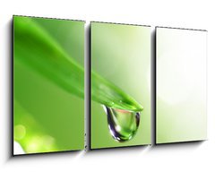 Obraz 3D tdln - 90 x 50 cm F_BS13364625 - shine water drop