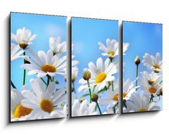 Obraz 3D tdln - 90 x 50 cm F_BS13584171 - Flowers