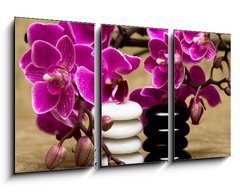 Obraz 3D tdln - 90 x 50 cm F_BS13631630 - Spa essentials (pyramid of stones with purple orchids)