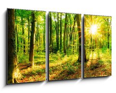 Obraz 3D tdln - 90 x 50 cm F_BS137096673 - Wald im Frhling mit Sonne