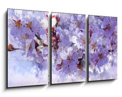 Obraz 3D tdln - 90 x 50 cm F_BS139001398 - Flowering branch. Painted oil paints on canvas.