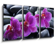 Obraz 3D tdln - 90 x 50 cm F_BS13998987 - beautiful orchid detail still life spa stones