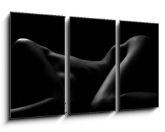 Obraz   Sexy body nude woman. Naked sensual beautiful girl. Artistic black and white photo., 90 x 50 cm
