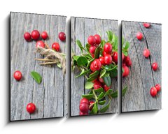 Obraz 3D tdln - 90 x 50 cm F_BS141541258 - Bunch of red cowberry