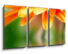 Obraz 3D tdln - 90 x 50 cm F_BS14392281 - Closeup photo of yellow daisy