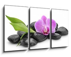 Obraz 3D tdln - 90 x 50 cm F_BS144086994 - zen basalt stones ,orchid and bamboo
