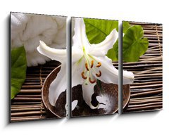 Obraz   Spa composition of white madonna lily, 90 x 50 cm