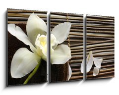 Obraz 3D tdln - 90 x 50 cm F_BS14760003 - bowl of orchid, petal on bamboo mat