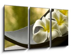 Obraz 3D tdln - 90 x 50 cm F_BS14907943 - special spa flowers