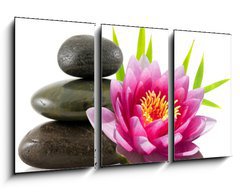 Obraz 3D tdln - 90 x 50 cm F_BS15079554 - Composition zen, pierres, lotus et bambou