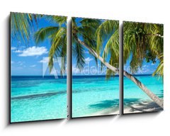 Obraz   coco palms on tropical paradise beach with turquoise blue water and blue sky, 90 x 50 cm