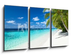 Obraz 3D tdln - 90 x 50 cm F_BS151010448 - coco palms on tropical paradise beach with turquoise blue water and blue sky