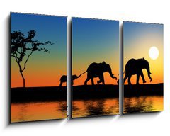 Obraz 3D tdln - 90 x 50 cm F_BS15223089 - Family of elephants.