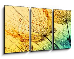 Obraz 3D tdln - 90 x 50 cm F_BS153111950 -  dandelion flower background - Pampelika kvtinov pozad