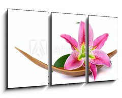 Obraz   Beautiful lily flower, 90 x 50 cm