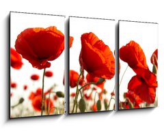 Obraz 3D tdln - 90 x 50 cm F_BS15661421 - Red poppies