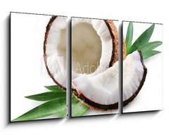 Obraz   coconut on a white background, 90 x 50 cm