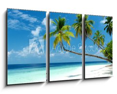 Obraz 3D tdln - 90 x 50 cm F_BS158471813 - Traumstrand