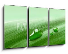 Obraz 3D tdln - 90 x 50 cm F_BS15900039 - Leaf, Blatt, Tropfen