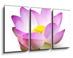 Obraz 3D tdln - 90 x 50 cm F_BS15918098 - Lotus