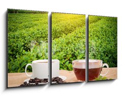 Obraz 3D tdln - 90 x 50 cm F_BS160363480 - Coffee or tea in the morning on the wooden table and the Tea plantation background