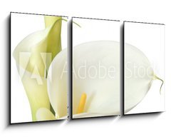 Obraz 3D tdln - 90 x 50 cm F_BS16158957 - White Calla Lilies