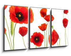 Obraz 3D tdln - 90 x 50 cm F_BS16302872 - red poppies over white background - floral design element