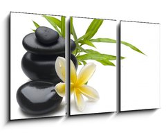 Obraz   Spa still life, 90 x 50 cm