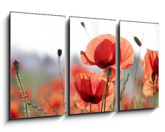 Obraz 3D tdln - 90 x 50 cm F_BS16525466 - mohnblumen