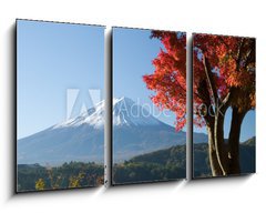 Obraz 3D tdln - 90 x 50 cm F_BS1676055 - mount fuji in fall vii