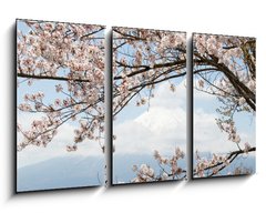 Obraz 3D tdln - 90 x 50 cm F_BS167625752 - Fuji mountain  in japan as background with sakura blossom as foreground