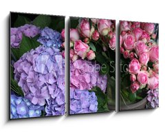 Obraz 3D tdln - 90 x 50 cm F_BS16803758 - Blumen - kvtiny