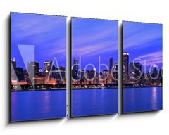 Obraz 3D tdln - 90 x 50 cm F_BS16836414 - XXL - Famous Chicago Panorama