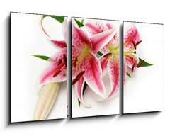 Obraz 3D tdln - 90 x 50 cm F_BS16841573 - Lily