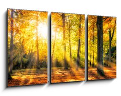 Obraz   Buntes Herbstwald Panorama im Sonnenlicht, 90 x 50 cm