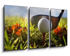 Obraz 3D tdln - 90 x 50 cm F_BS16911245 - Golf club and ball in grass