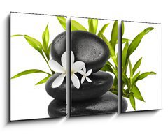Obraz   Spa still life on white background, 90 x 50 cm