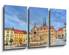 Obraz 3D tdln - 90 x 50 cm F_BS171778400 - Parnas Fountain on Zerny trh square in the old town of Brno, Czech Republic